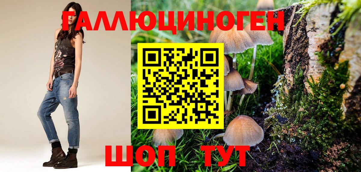 Сланцы  Галлюциногенные грибы Magic Shrooms  Вход с VPN  Псилоцибиновые грибы Cubensis 